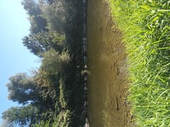 20250826_155122.jpg