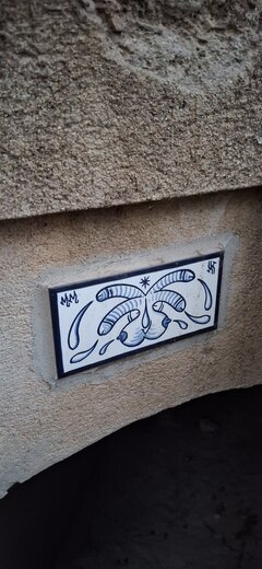 20250826_204608.jpg