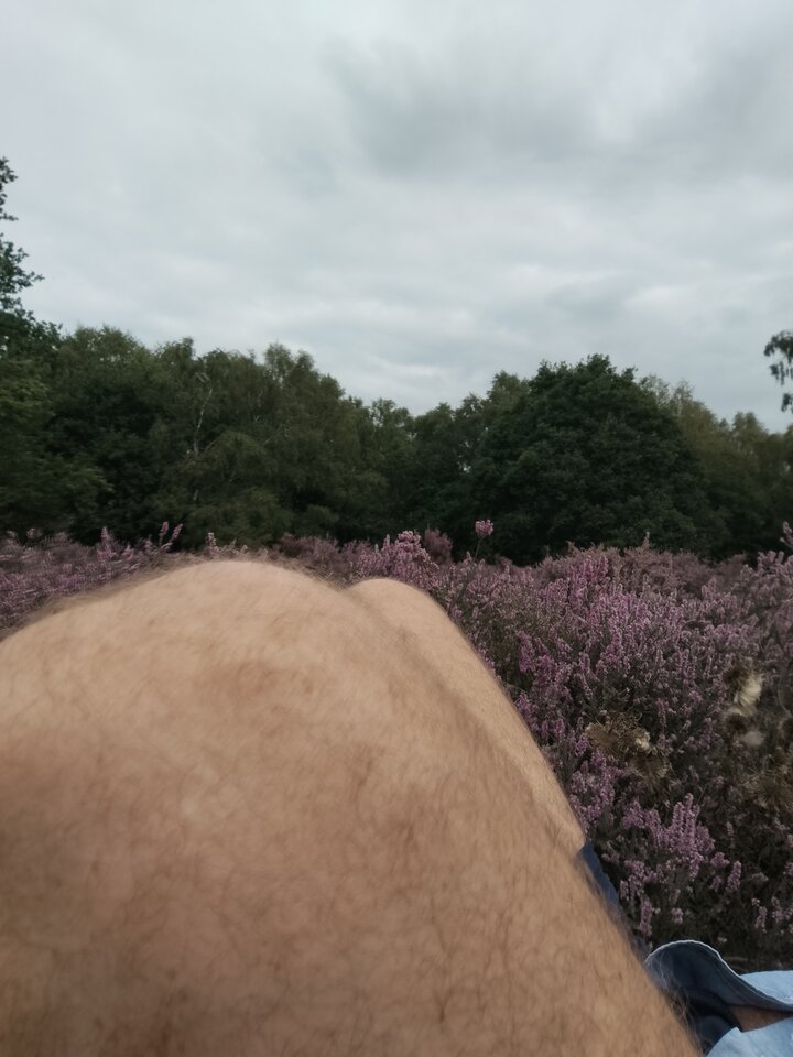 1000020563.jpg - prokopluk