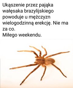 Screenshot_20250827_042442_Facebook.jpg