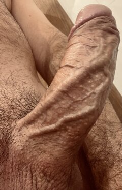IMG_2511.jpeg