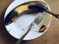 IMG_7151.jpeg