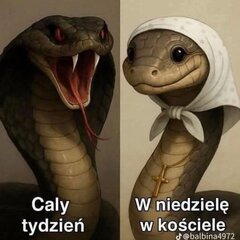 1000010500.jpg