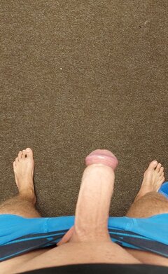 34217332