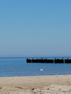 IMG_20250831_101636.jpg