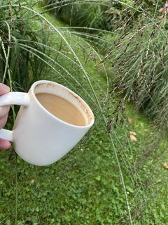IMG_7168.jpeg