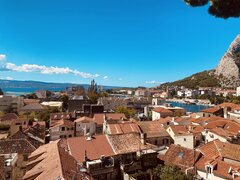 IMG_2713.jpeg