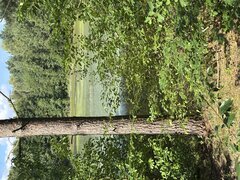 IMG_1832.jpeg