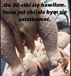 FB_IMG_1756817164904.jpg