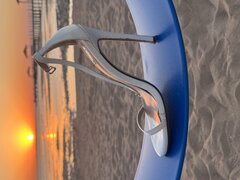 IMG_4450.jpeg