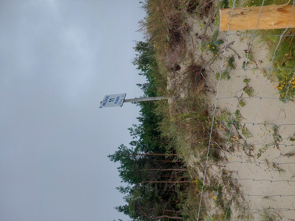 20250831_091250.jpg - golyiwesolyNBR