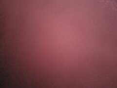 20250722_104351.jpg