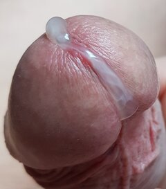 20250905_195311.jpg