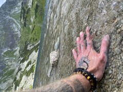 IMG_7528.jpeg