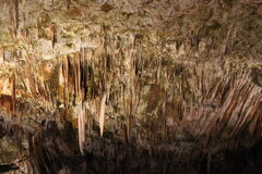 IMG_1347.JPG
