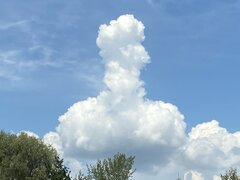 IMG_0746.jpeg