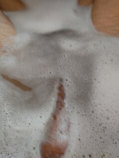 IMG_20250906_120357.jpg