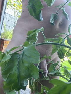 IMG_6608.jpeg