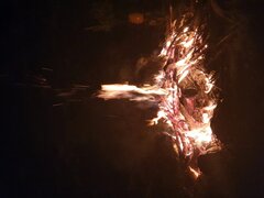 20200828_210317.jpg