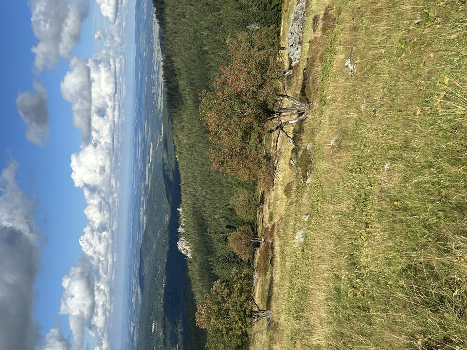 IMG_8706.jpeg - Grom47