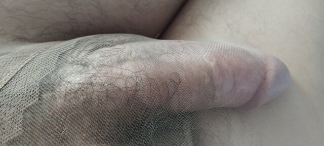 Rajstopek_tbg