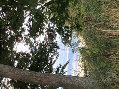 IMG_0599.jpeg