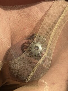 IMG_8293.jpeg