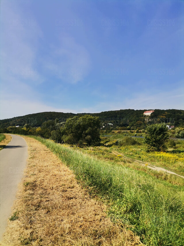chriss306