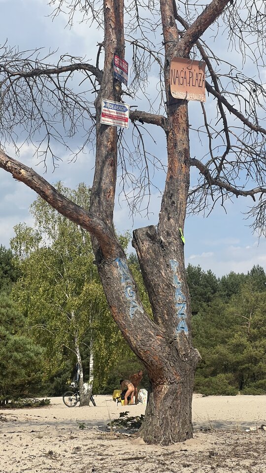 Zakończenie lata nad Zalewem Sulejowskim :) - marudni