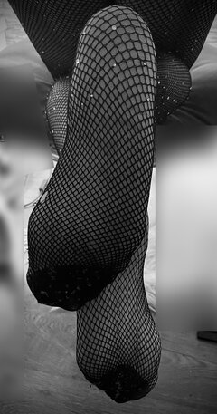 IMG_3243.jpeg