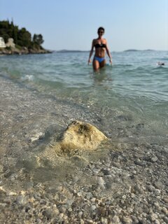 IMG_6750.jpeg