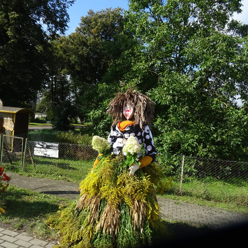 DSC04663.JPG - bojman8