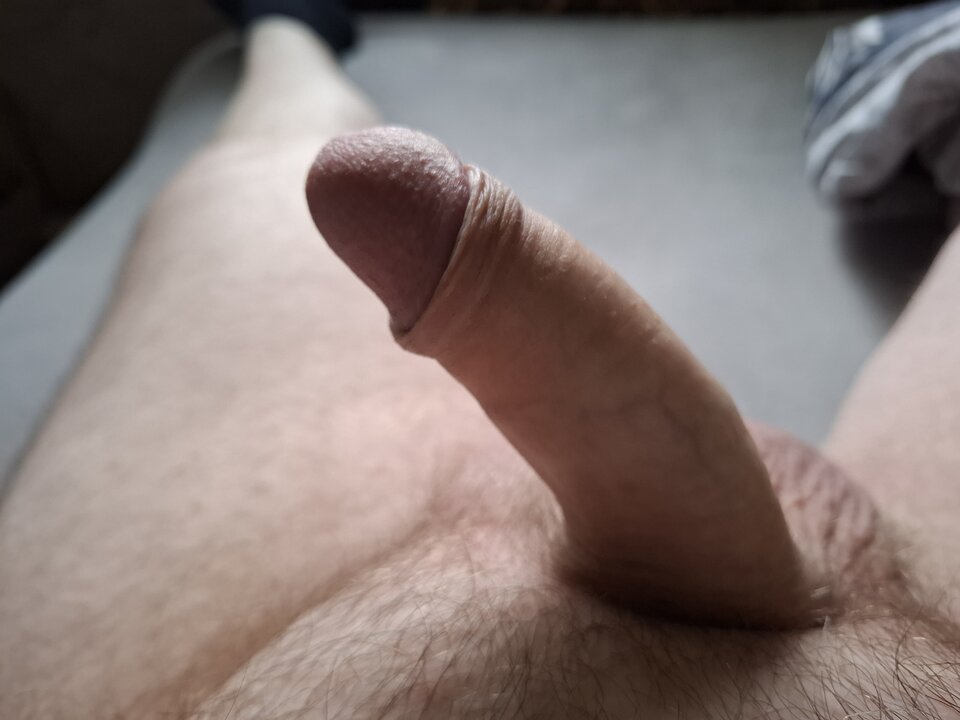 1000003710.jpg - przytulas157
