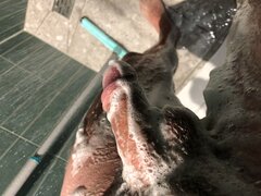 IMG_4137.jpeg