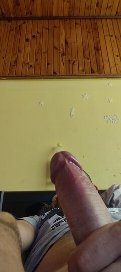 1000033007.jpg