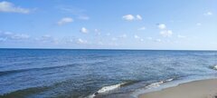 IMG_20250731_090613.jpg