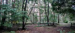 Wronowice Las