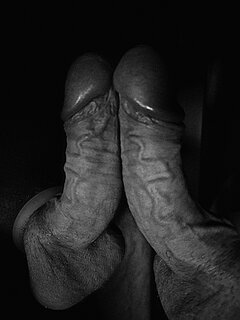 20250915_001404.jpg