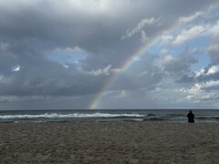 IMG_1466.jpeg
