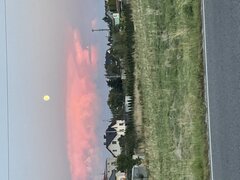 IMG_0935.jpeg