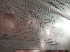 1000005568.jpg