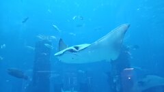 20250703_184227.jpg