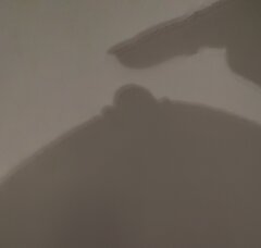 1000050686.jpg