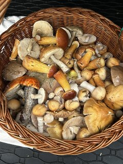 IMG_9101.jpeg