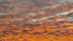 IMG_20250919_023501.jpg
