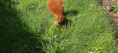 IMG_20250919_104031.jpg