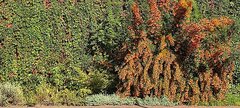 IMG_20250919_103820.jpg