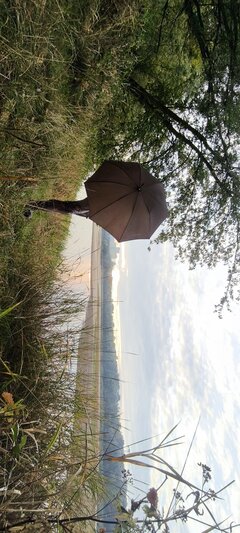 IMG_20250920_054521.jpg