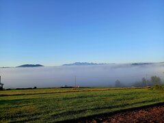 20250920_070354.jpg