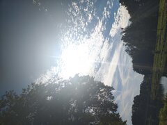 1000005309.jpg